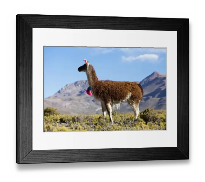 Framed Print : South America, Argentina Framed Print : South America, Argentina