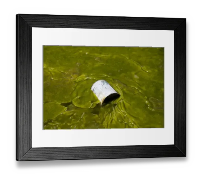 Framed Print : South America, Argentina, Province Jujuy - slime in a small lagune in the Puna