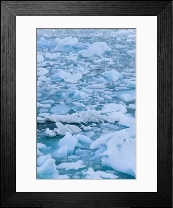 Framed Print : Ice blocks floating on the water, Glacier Moreno, near El Calafate, Patagonia, Argentina
