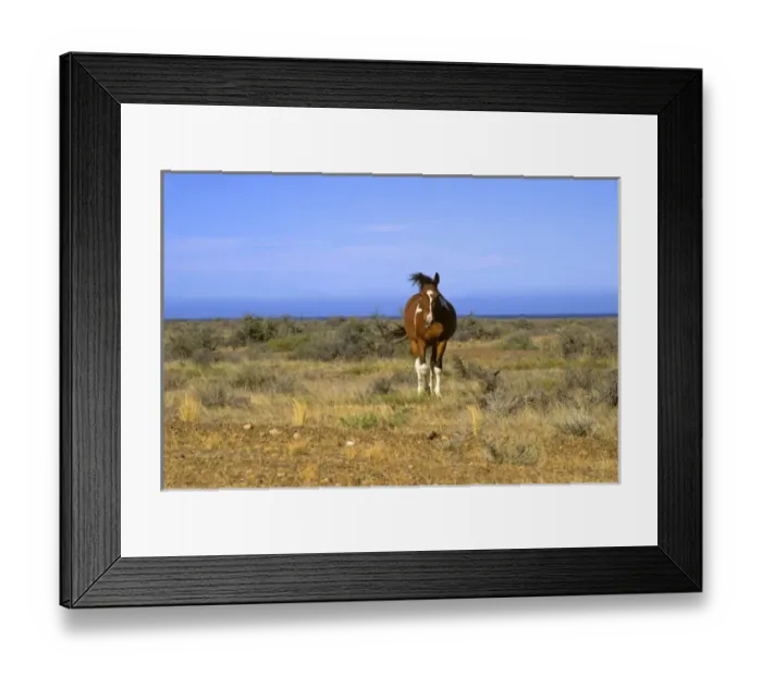 Framed Print : South America, Argentina