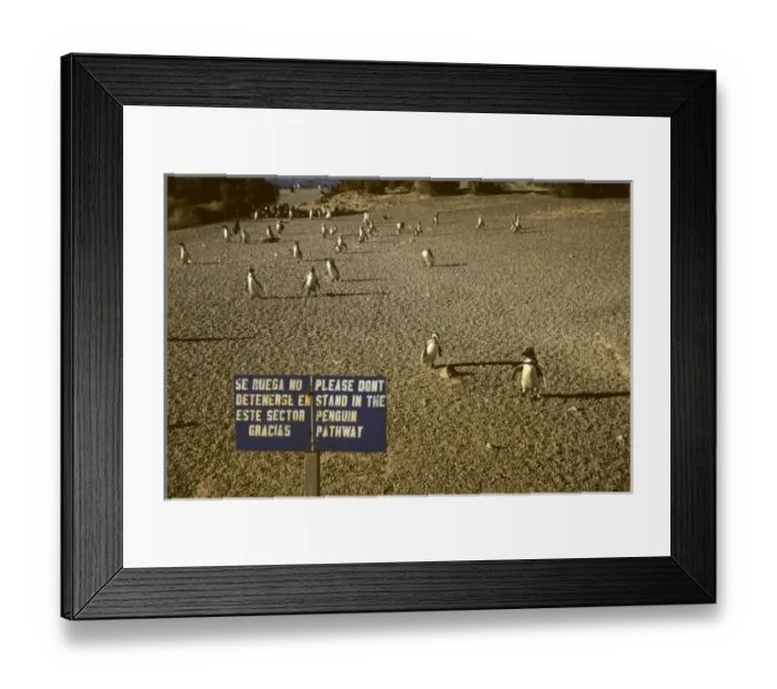 Framed Print : South America, Argentina