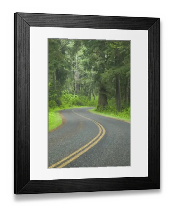 Framed Print : USA, Washington, Olympic National Park, Road Leading Through the Northern Olympic Framed Print : USA, Washington, Olympic National Park, Road Leading Through the Northern Olympic