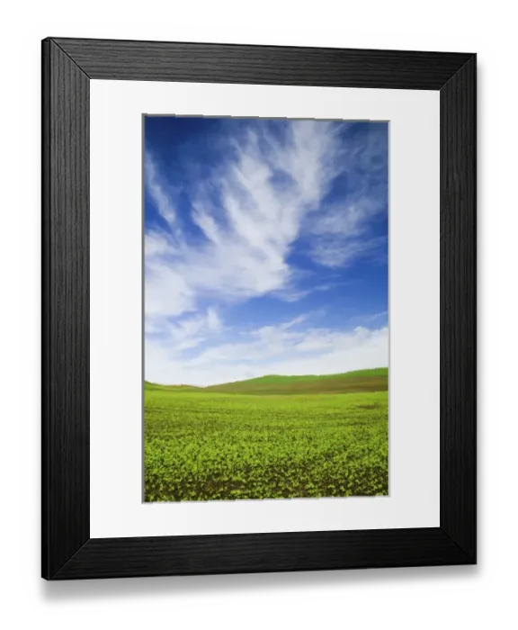 Framed Print : USA, Idaho, Palouse Country, Spring Field of Peas and Wheat Running through the Fields Framed Print : USA, Idaho, Palouse Country, Spring Field of Peas and Wheat Running through the Fields