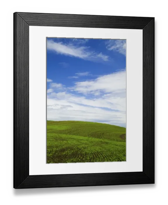 Framed Print : USA, Idaho, Palouse Country, Spring Field of Peas and Wheat Running through the Fields