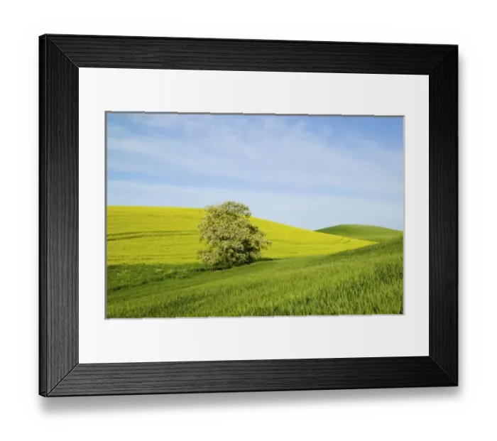 Framed Print : USA, North America, Washington Framed Print : USA, North America, Washington
