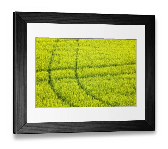 Framed Print : USA, North America, Washington Framed Print : USA, North America, Washington