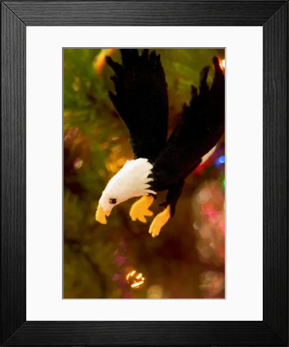 Framed Print : Christmas tree ornaments Framed Print : Christmas tree ornaments