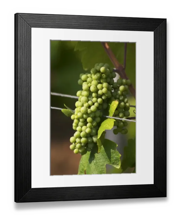 Framed Print : Europe, Albania