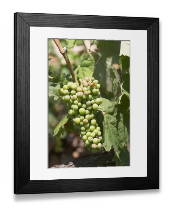 Framed Print : Europe, Albania
