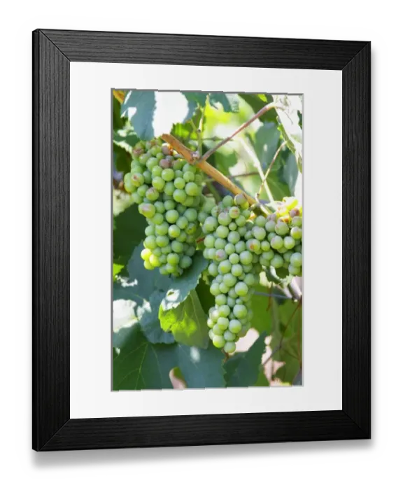 Framed Print : Europe, Albania Framed Print : Europe, Albania