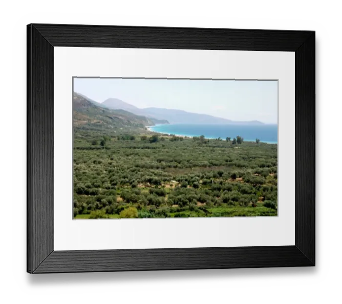 Framed Print : Albania, Olive grove next to Borsh beach Framed Print : Albania, Olive grove next to Borsh beach