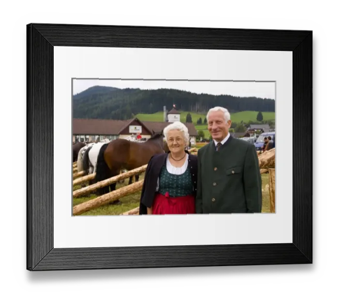 Framed Print : Europe, Austria Framed Print : Europe, Austria
