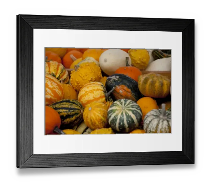 Framed Print : Austria, Wachau Valley, Melk. Historic downtown Melk, fall pumpkins & squash Framed Print : Austria, Wachau Valley, Melk. Historic downtown Melk, fall pumpkins & squash
