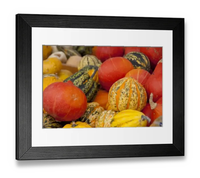 Framed Print : Austria, Wachau Valley, Melk. Historic downtown Melk, fall pumpkins & squash Framed Print : Austria, Wachau Valley, Melk. Historic downtown Melk, fall pumpkins & squash