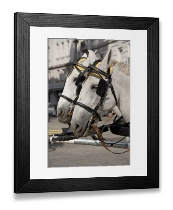 Framed Print : Europe, Austria Framed Print : Europe, Austria