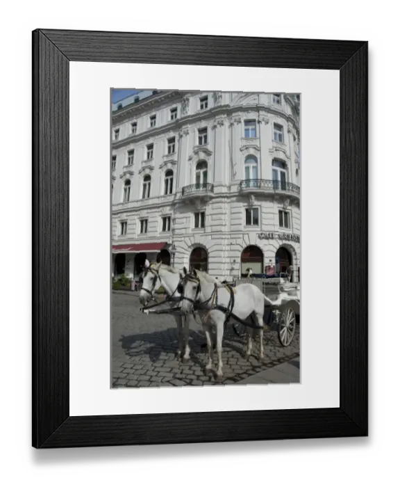 Framed Print : Austria, Vienna. Popular traditional horse-drawn fiaker (carriage) rides around downtown Vienna Framed Print : Austria, Vienna. Popular traditional horse-drawn fiaker (carriage) rides around downtown Vienna