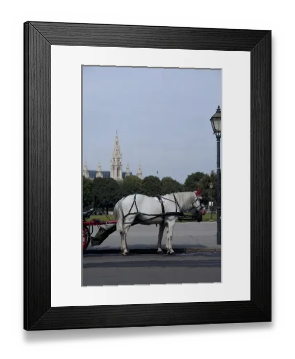 Framed Print : Austria, Vienna. Popular traditional horse-drawn fiaker (carriage) rides around downtown Vienna Framed Print : Austria, Vienna. Popular traditional horse-drawn fiaker (carriage) rides around downtown Vienna