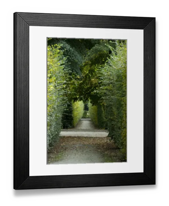 Framed Print : Europe, Austria Framed Print : Europe, Austria