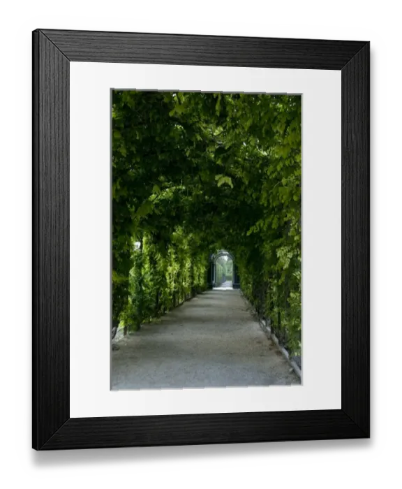 Framed Print : Austria, Vienna. Maria Theresas baroque Schonbrunn Palace (aka Schlob Schonbrunn) Framed Print : Austria, Vienna. Maria Theresas baroque Schonbrunn Palace (aka Schlob Schonbrunn)