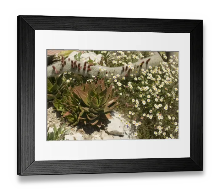 Framed Print : Europe, France Framed Print : Europe, France