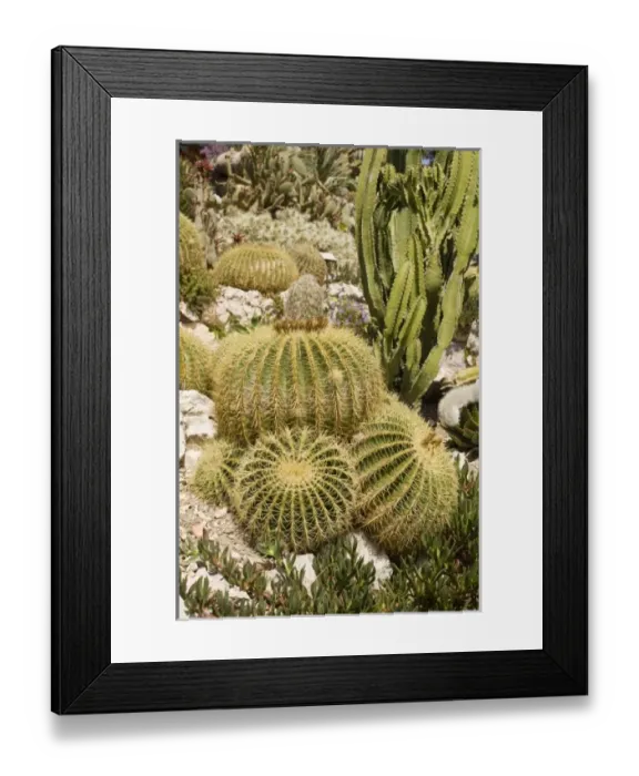 Framed Print : Europe, France Framed Print : Europe, France