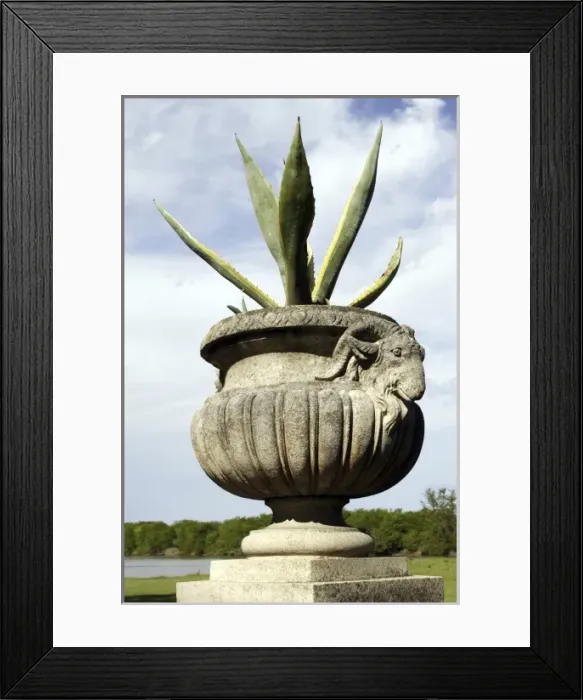 Framed Print : Aloe in a pot with goats head as decration. Santa Candida property used to belong Framed Print : Aloe in a pot with goats head as decration. Santa Candida property used to belong