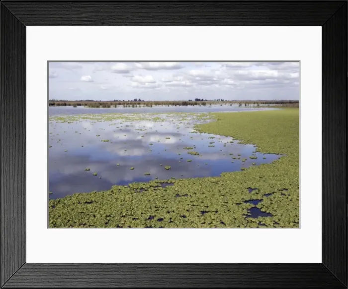 Framed Print : Otamendi Natural Reserve