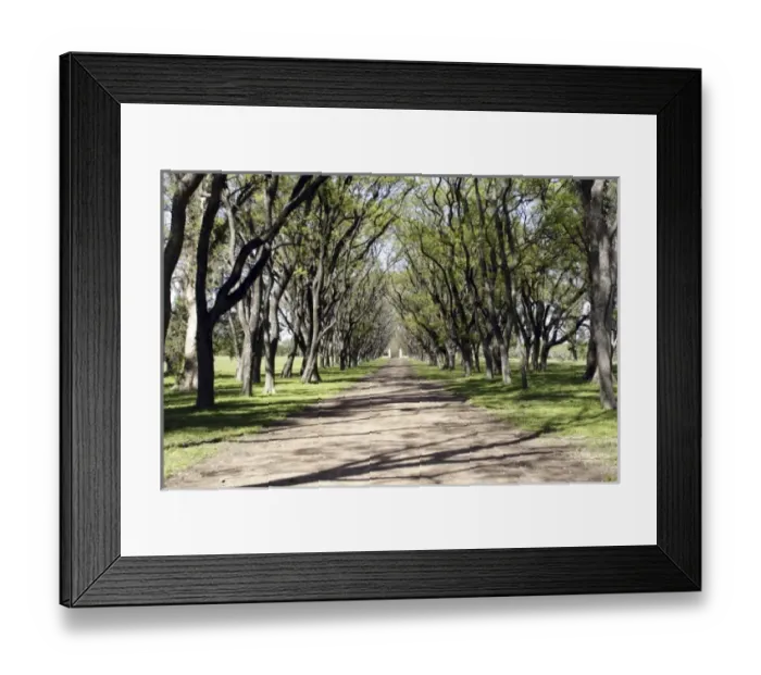 Framed Print : South America, Argentina Framed Print : South America, Argentina