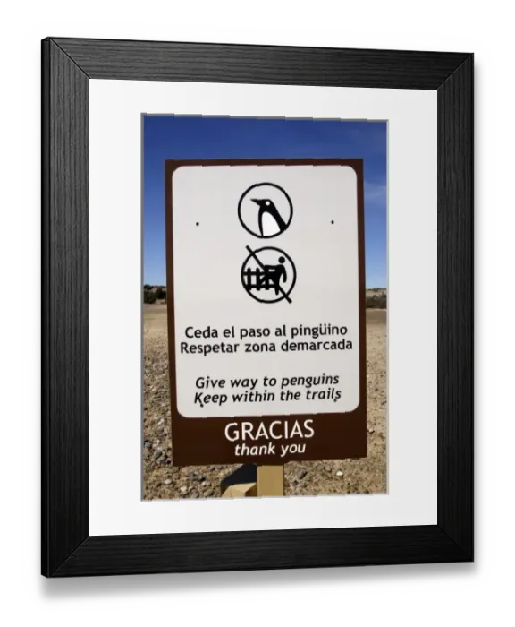 Framed Print : Argentina, PenAinsula Vald Framed Print : Argentina, PenAinsula Vald