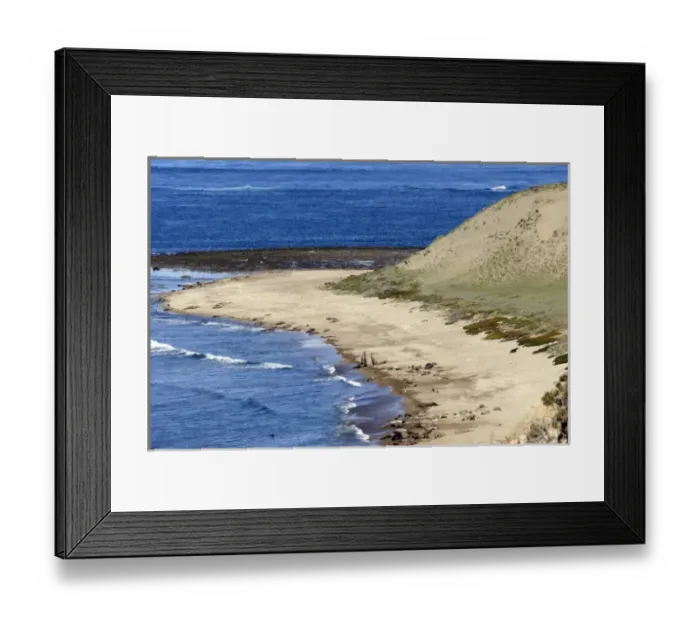 Framed Print : Argentina, PenAinsula Vald Framed Print : Argentina, PenAinsula Vald