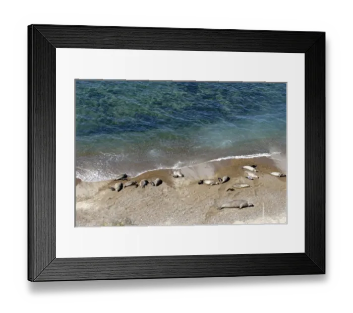 Framed Print : Argentina, PenAinsula Vald Framed Print : Argentina, PenAinsula Vald