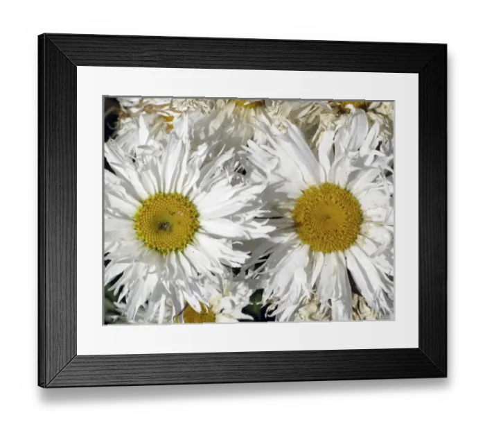 Framed Print : South America, Argentina