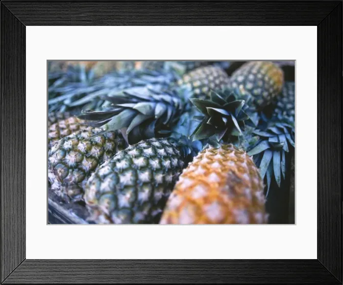 Framed Print : Brazil, Rio de Janeiro, pineapple for sale at market, near Ipanema Beach Framed Print : Brazil, Rio de Janeiro, pineapple for sale at market, near Ipanema Beach