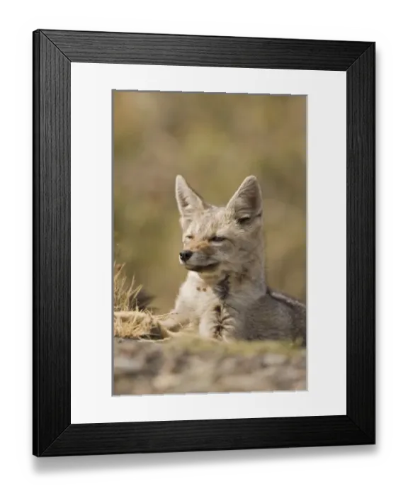 Framed Print : South America, Chile Framed Print : South America, Chile