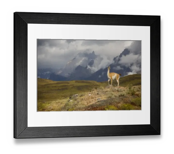 Framed Print : South America, Chile Framed Print : South America, Chile