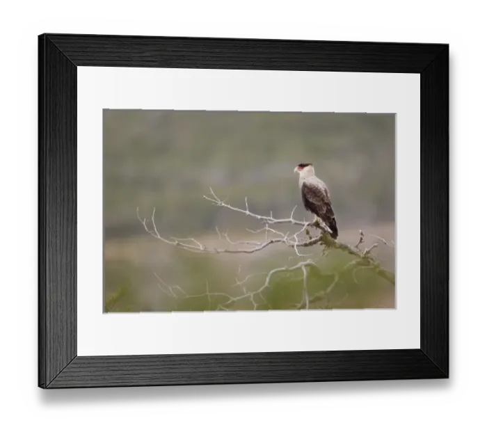 Framed Print : South America, Chile Framed Print : South America, Chile