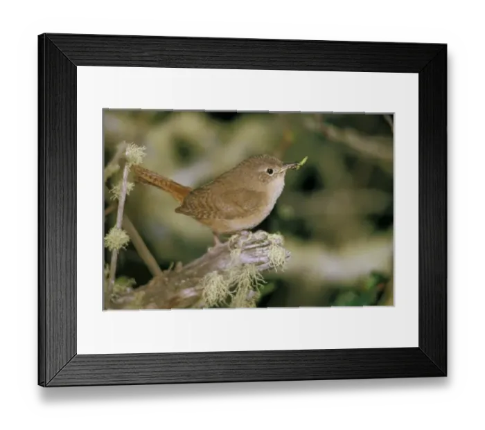 Framed Print : South America, Chile Framed Print : South America, Chile