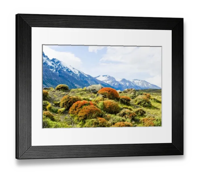 Framed Print : Torres Del Paine National Park, Region 12, Chile, Patagonia Framed Print : Torres Del Paine National Park, Region 12, Chile, Patagonia