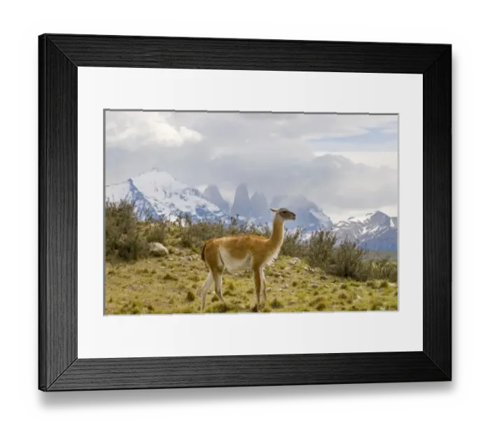Framed Print : South America, Chile Framed Print : South America, Chile