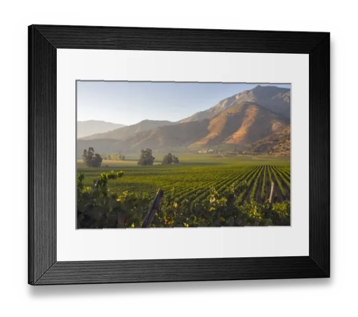 Framed Print : South America, Chile