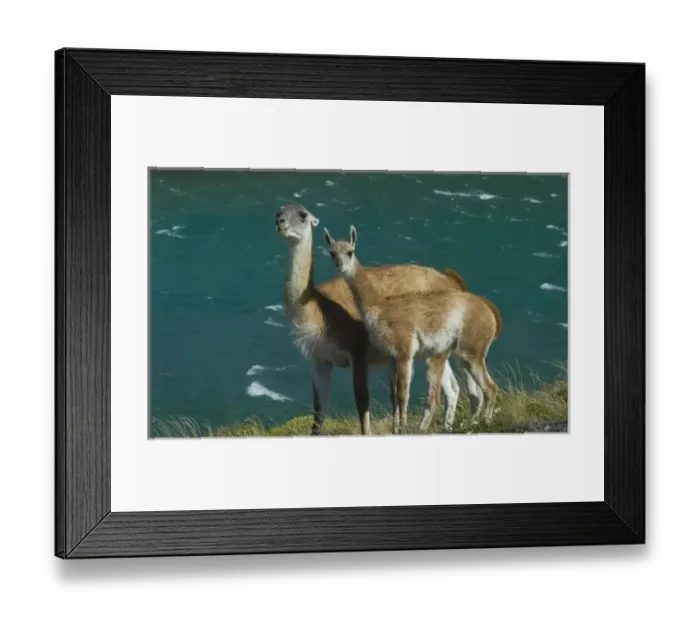 Framed Print : South America, Chile