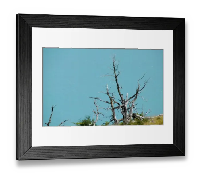 Framed Print : Dead tree against turquoise water, Rio Grey, Torres del Paine National Park, Patagonia Framed Print : Dead tree against turquoise water, Rio Grey, Torres del Paine National Park, Patagonia