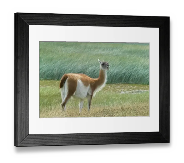 Framed Print : South America, Chile Framed Print : South America, Chile