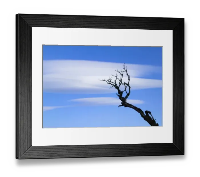 Framed Print : Dead burned tree with dramatic clouds in the blue sky, Torres del Paine National Park Framed Print : Dead burned tree with dramatic clouds in the blue sky, Torres del Paine National Park