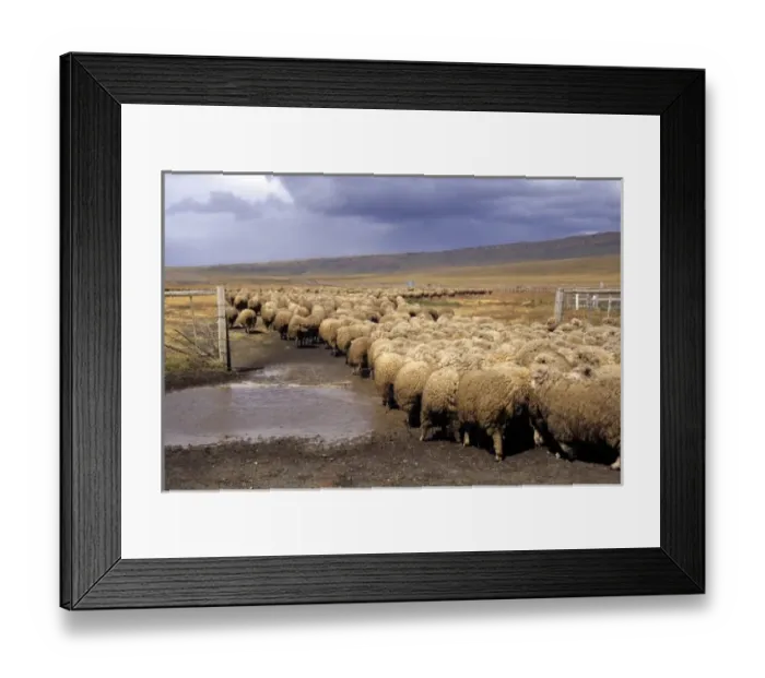 Framed Print : South America, Chile