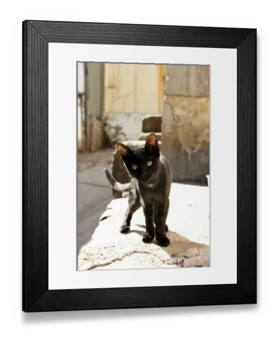 Framed Print : South America, Chile Framed Print : South America, Chile