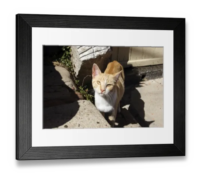 Framed Print : South America, Chile Framed Print : South America, Chile