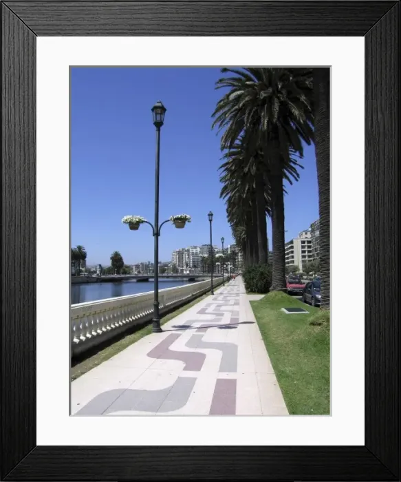 Framed Print : Vina del Mar (Spanish for Vineyard of the Sea), also known locally as La Ciudad JardAin