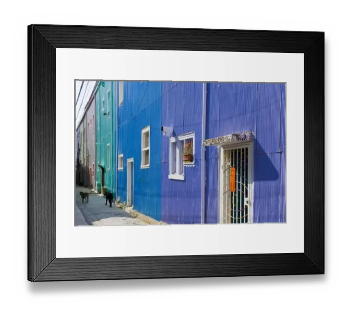 Framed Print : ValparaIso, Chile. South America. Feral dogs and colorful buildings on Cerro ConcepcIon