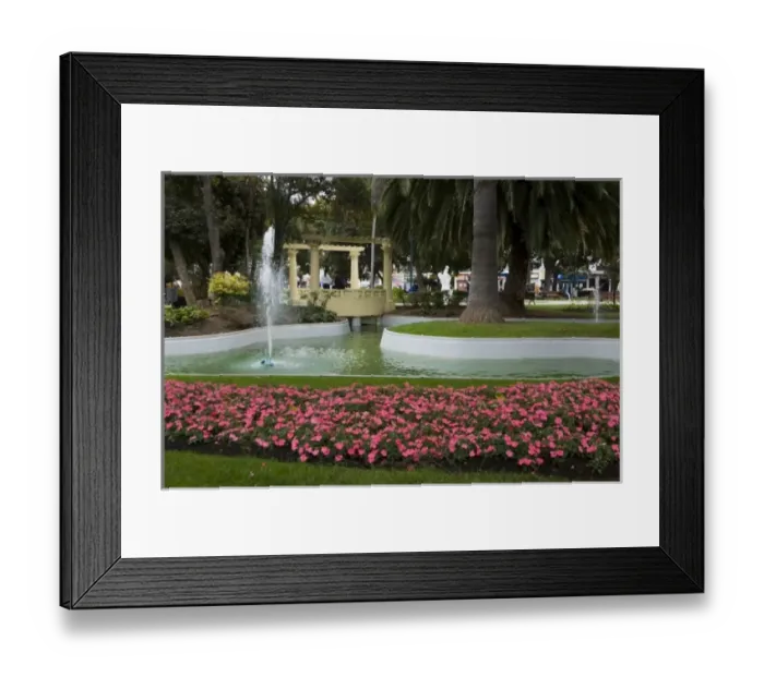 Framed Print : ViOa del Mar, Chile. South America. Flowers and fountain in Jose Vergara Plaza Framed Print : ViOa del Mar, Chile. South America. Flowers and fountain in Jose Vergara Plaza